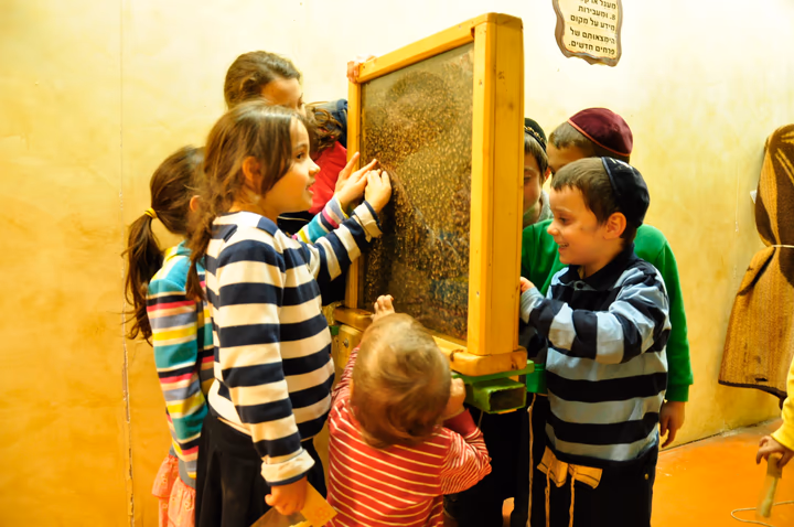 סרטון הצצה לפעילות הכוורת השקופה